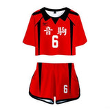 Haikyuu!! – Nekoma und Shiratorizawa Volleyball-Trikots Cosplay (Maßanfertigung möglich)